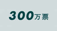 300万票