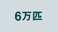 6万匹