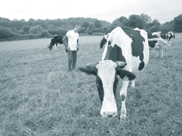 14H00 : 牧場に行き、放たれた牛とのコミュニケーション。