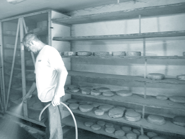 17H00 : 熟成中のチーズの管理。 温度湿度調整のために地面に水をまく。