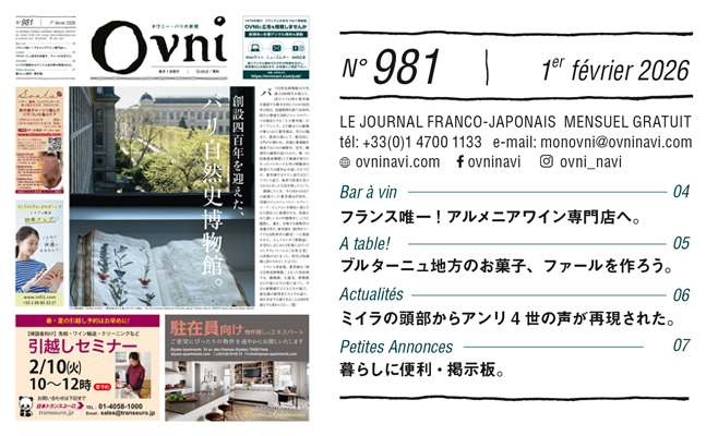 <span class="title">OVNI 981</span>